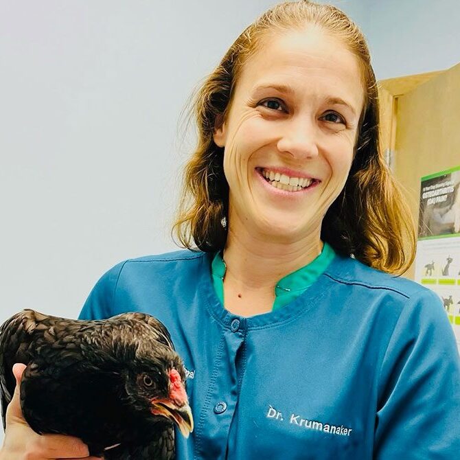 A smiling woman in a blue veterinary uniform holds a black chicken indoors. The wall in the background has animal-related posters.