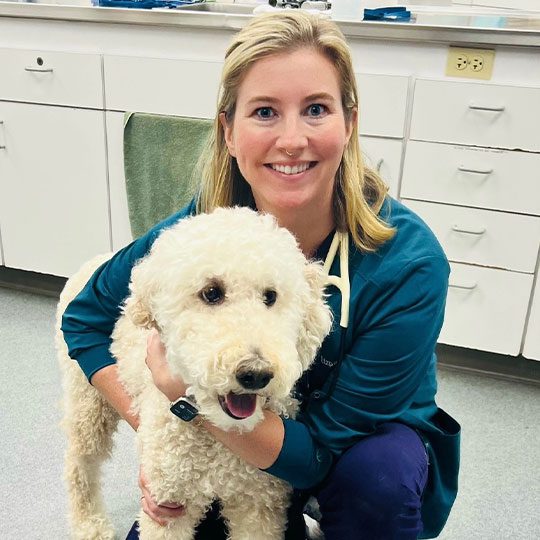 smiling female veterinarian hugging big white dog