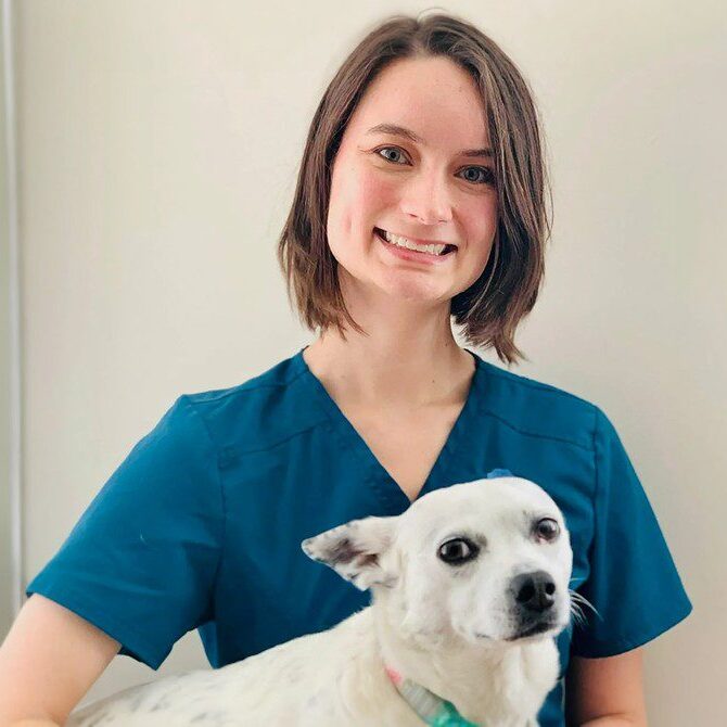 A veterinarian in a blue scrub top smiles while holding a small white dog with black spots. The background is a neutral, light color. The dog looks slightly to the side, capturing the gentle care of its vet.