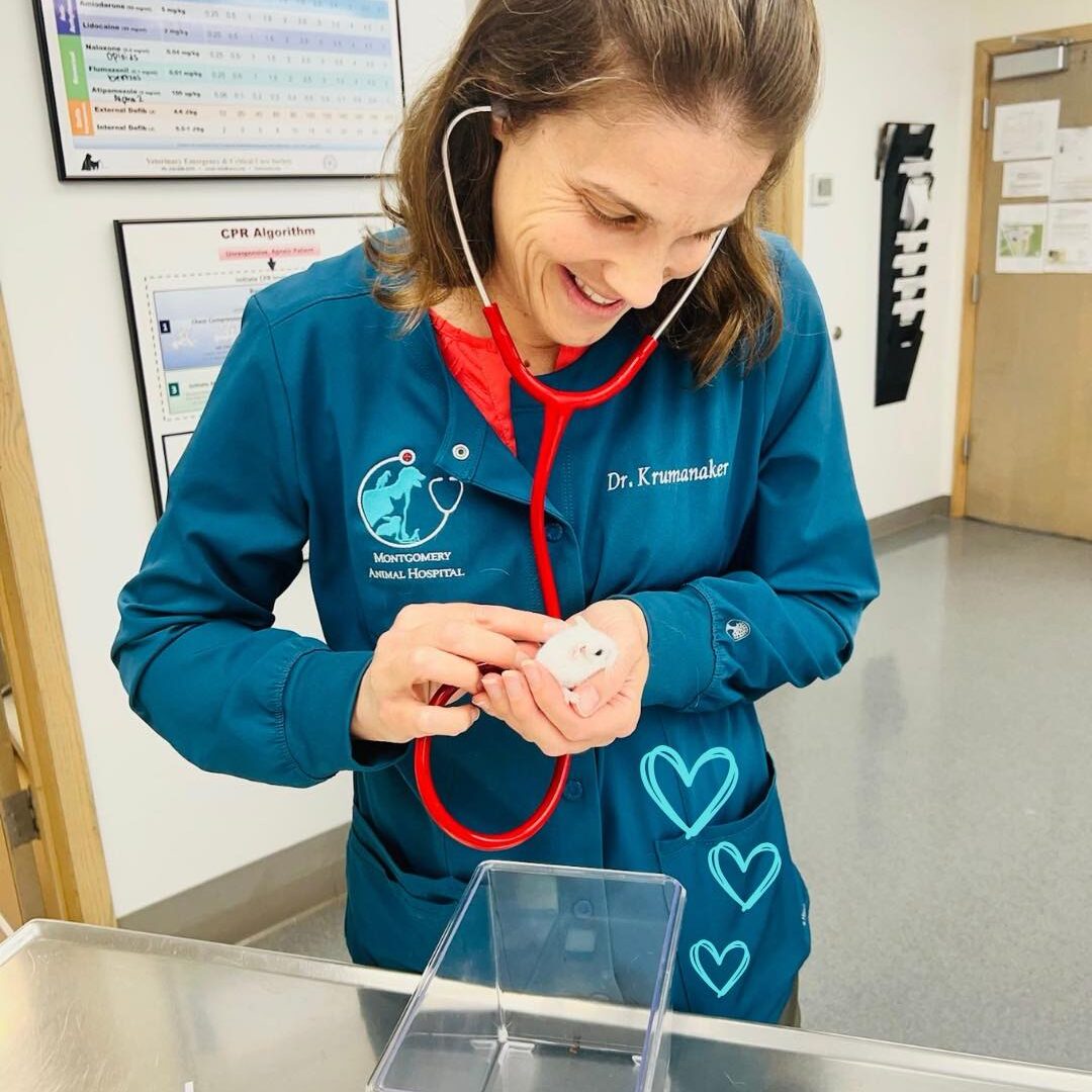 smiling vet holding mouse