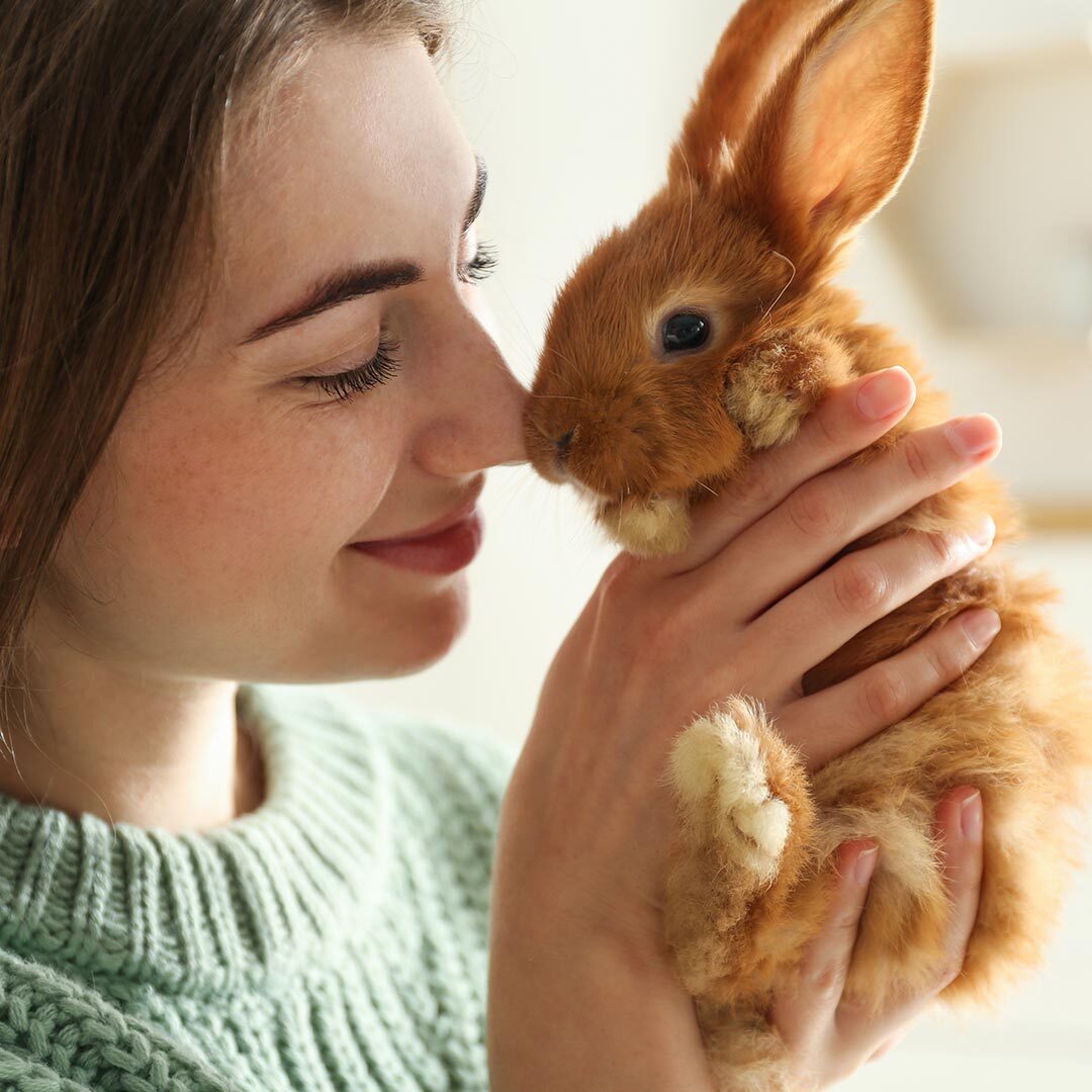 young woman touching noses with her orange rabbit