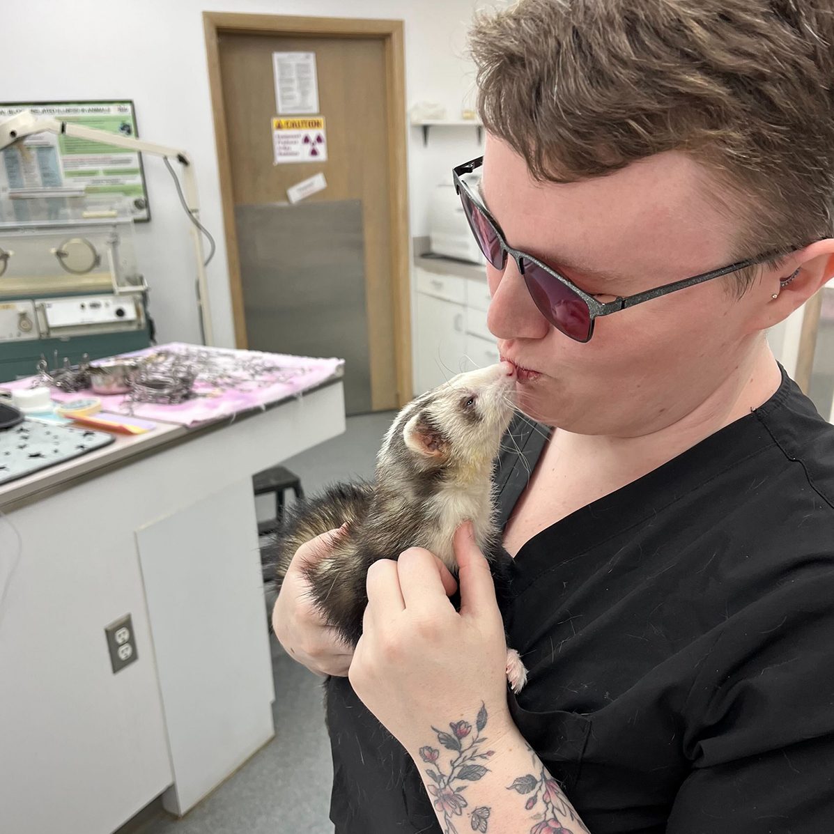 Tech Kissing Ferret