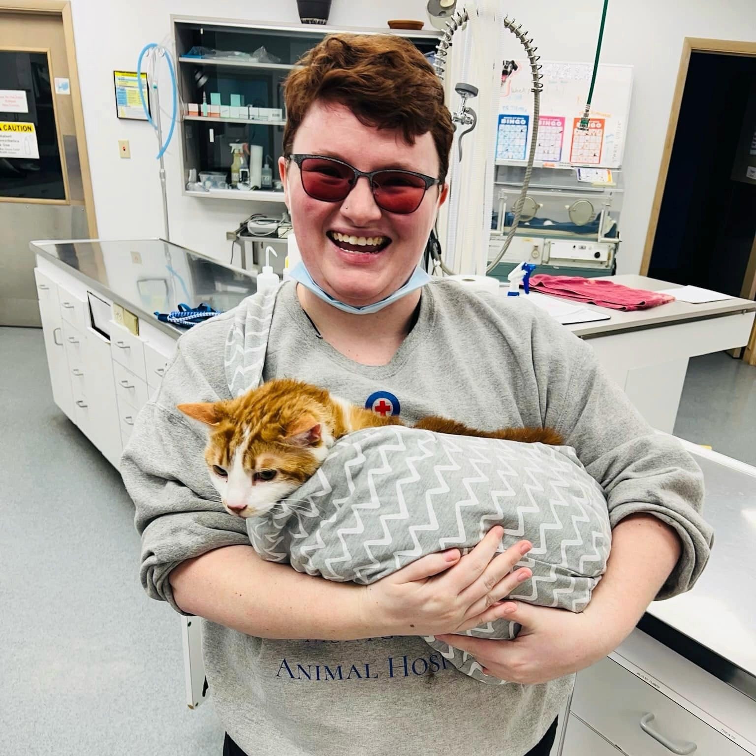 female veterinary technician holding orange and white cat wrapped in blanket