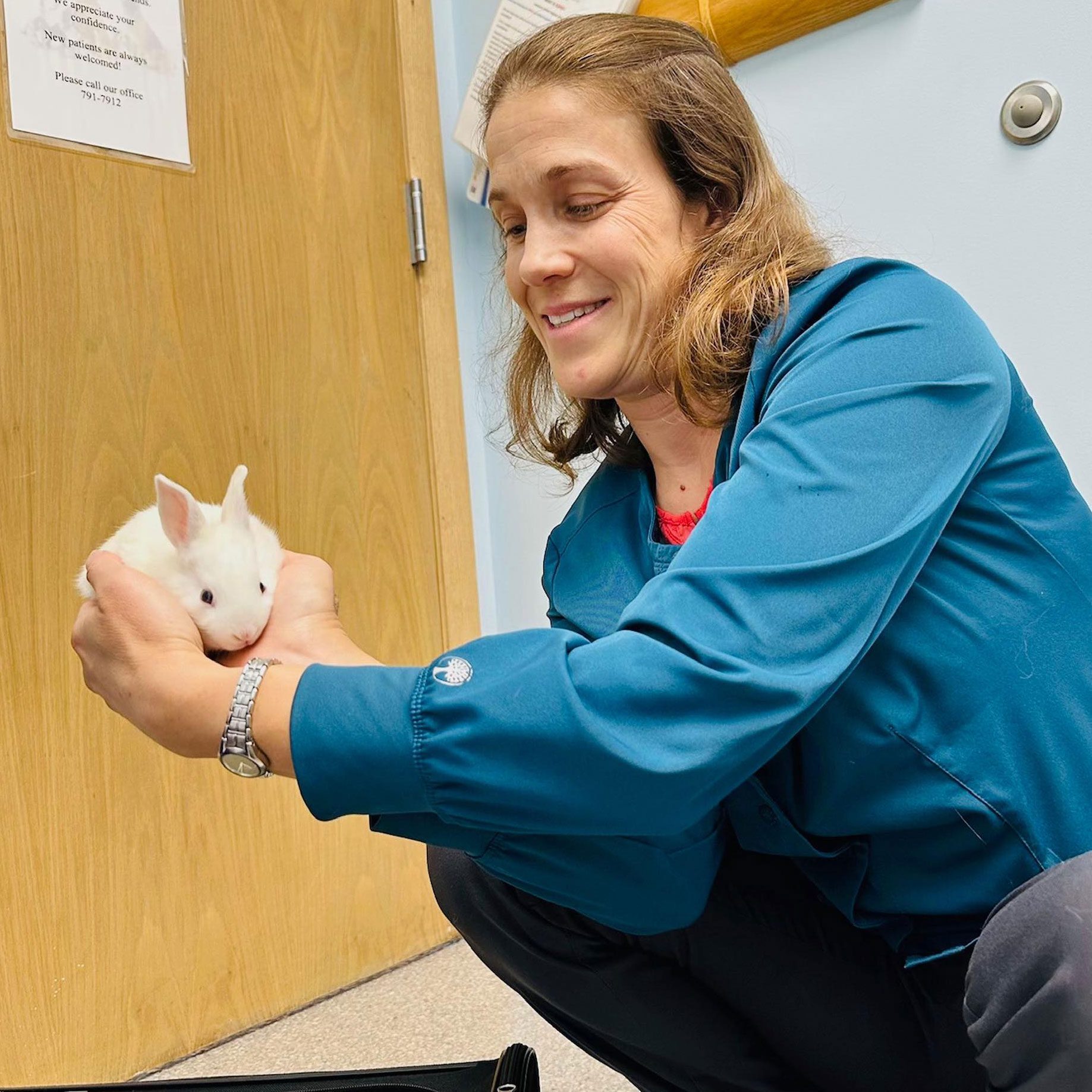smiling female veterinarian holding small white rabbit